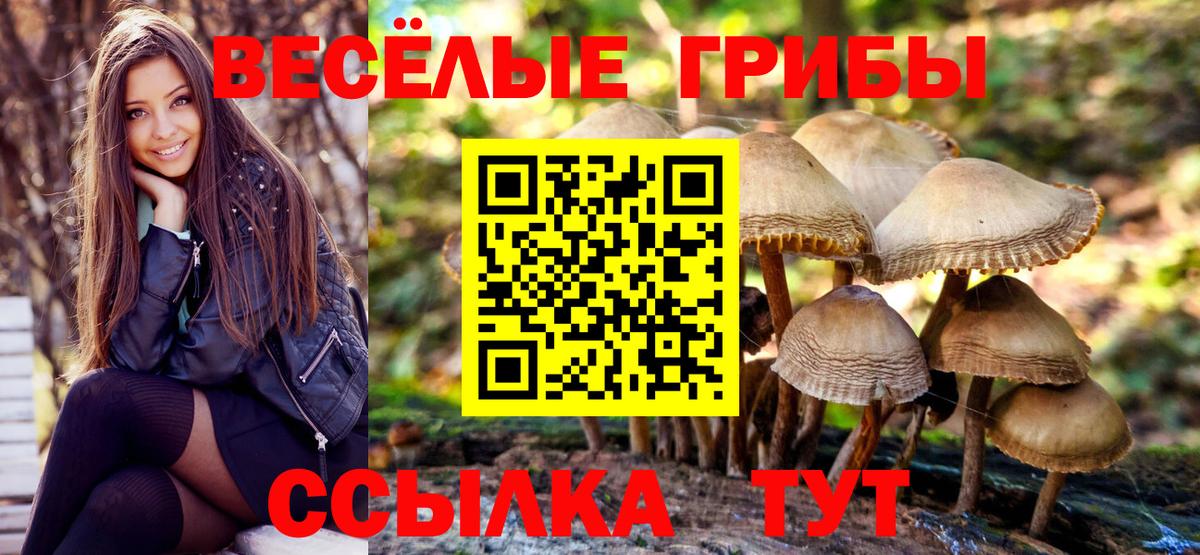 Псилоцибиновые грибы Cubensis  Галлюциногенные грибы MAGIC MUSHROOMS  Североморск  Вход с VPN 