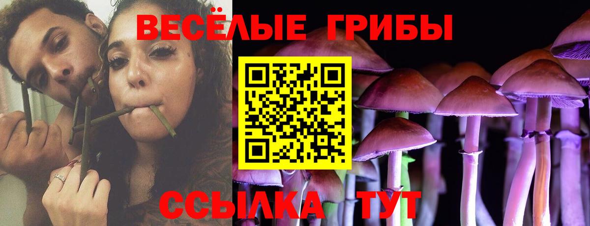 Псилоцибиновые грибы MAGIC MUSHROOMS Североморск